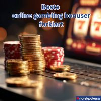Beste online gambling bonuser forklart